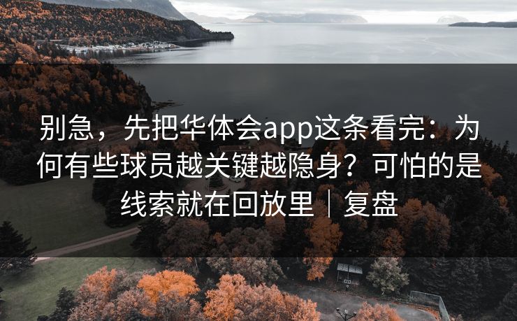 别急，先把华体会app这条看完：为何有些球员越关键越隐身？可怕的是线索就在回放里｜复盘