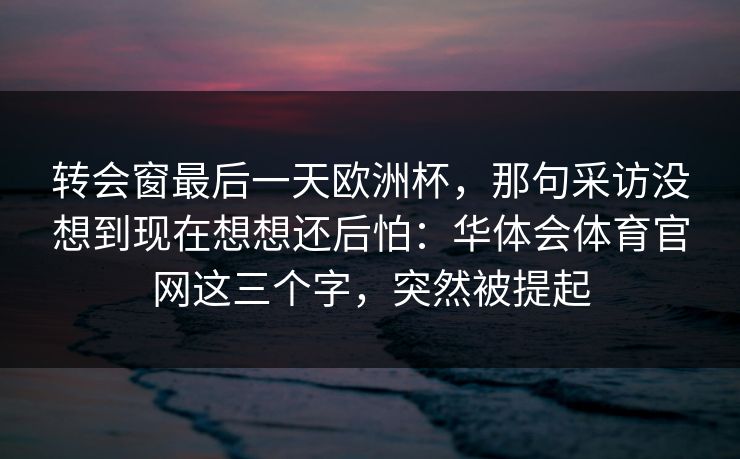 转会窗最后一天欧洲杯，那句采访没想到现在想想还后怕：华体会体育官网这三个字，突然被提起