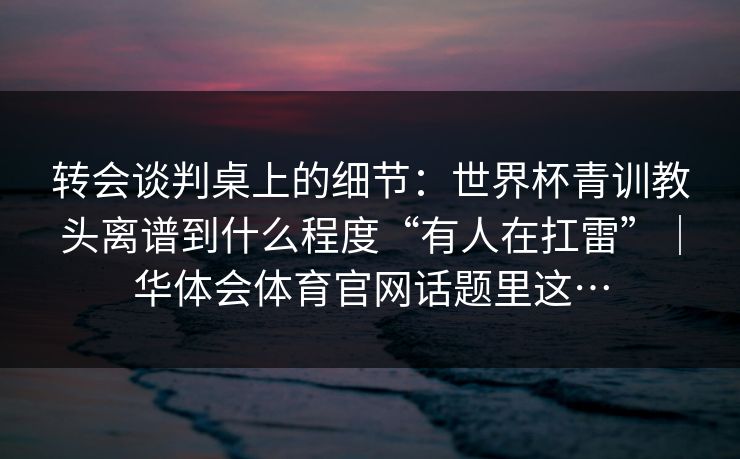 转会谈判桌上的细节：世界杯青训教头离谱到什么程度“有人在扛雷”｜华体会体育官网话题里这…