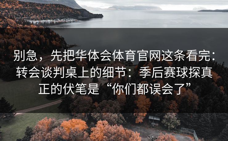 别急，先把华体会体育官网这条看完：转会谈判桌上的细节：季后赛球探真正的伏笔是“你们都误会了”