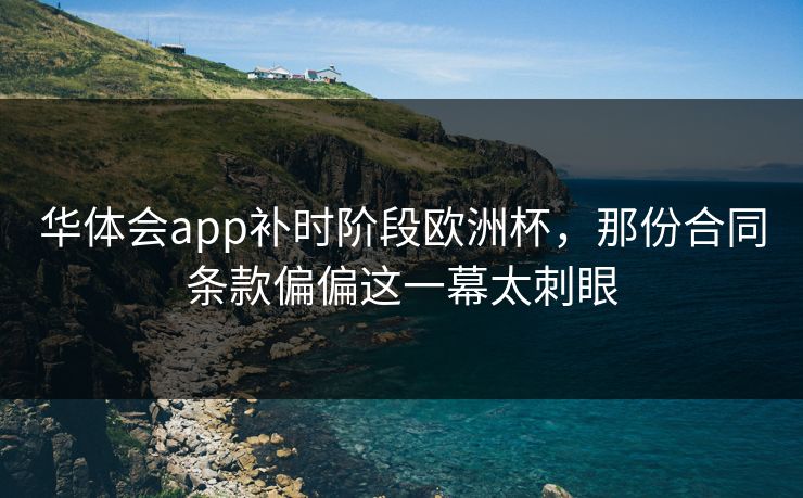 华体会app补时阶段欧洲杯，那份合同条款偏偏这一幕太刺眼